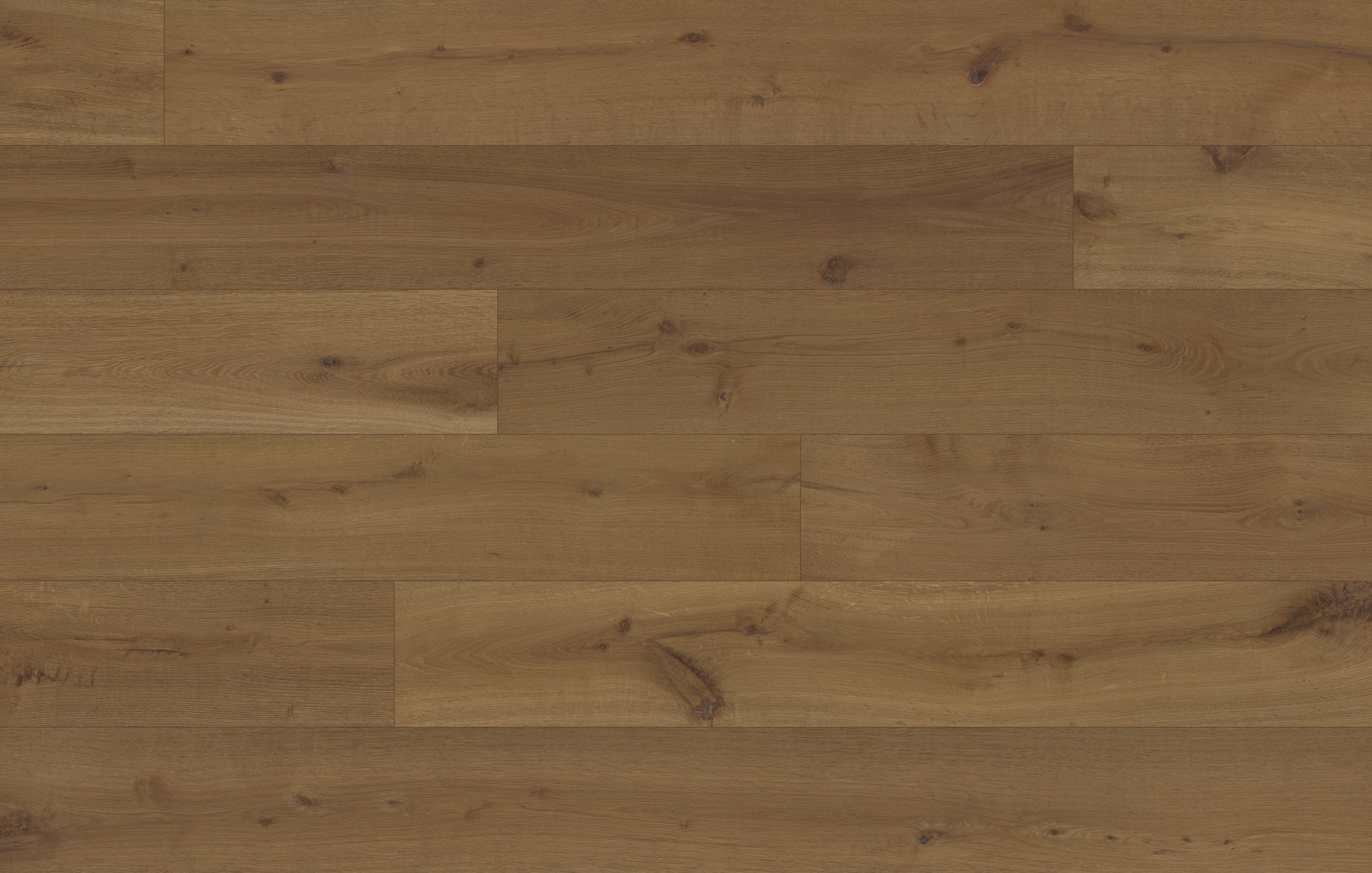 Rustic Echo view 2